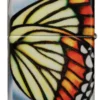 Butterfly Design