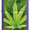 Cannabis Design