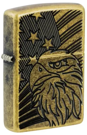 Eagle and Flag Design