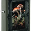 Framed Fungi Design