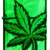 Glowing Leaves Design