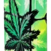 Glowing Leaves Design