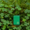 Lucky Clover Design