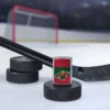 Minnesota Wild® Icon Design