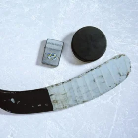 Nashville Predators® Logo Design