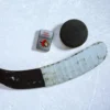 Ottawa Senators® Logo Design