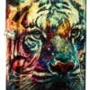 Painted Tiger Design