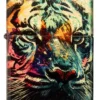 Painted Tiger Design