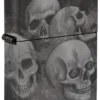 Skull Collector Design
