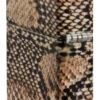 Snake Skin Design