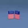 Stars and Stripes Flag Design
