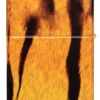 Tiger Print Designs