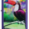 Toucan Design