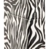 Zebra Print Design