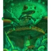 Zen Frog Design