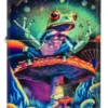 Zen Frog Design
